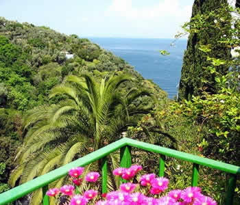 Terrazza/balcone