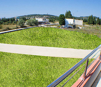 Vista