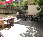 Terrazza Terrazza