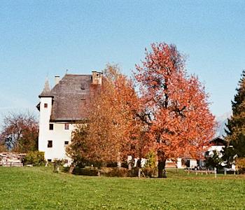 Esterno