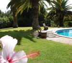 Giardino Giardino
