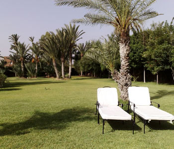 Giardino
