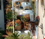 Terrazza Terrazza