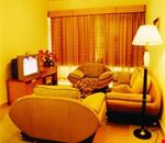 Suite Suite