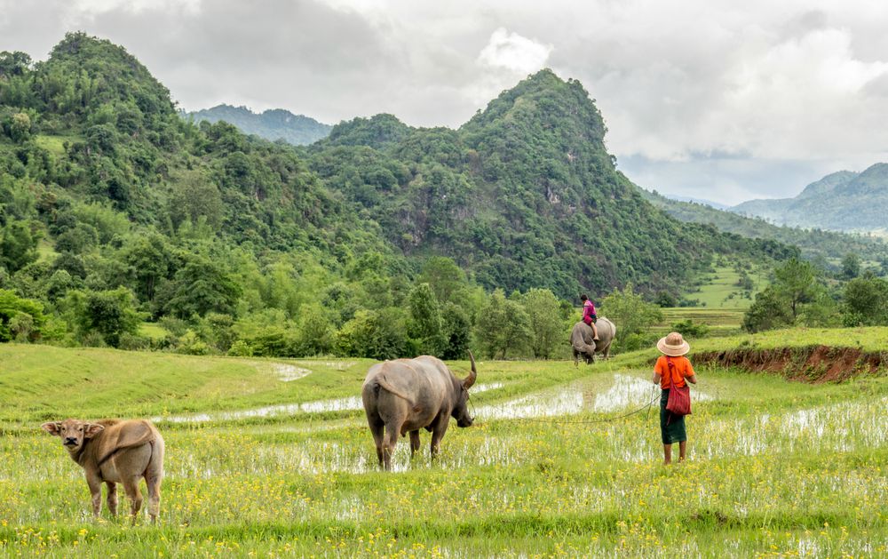 Cosa vedere in Birmania: i 5 luoghi che ti faranno innamorare del Myanmar