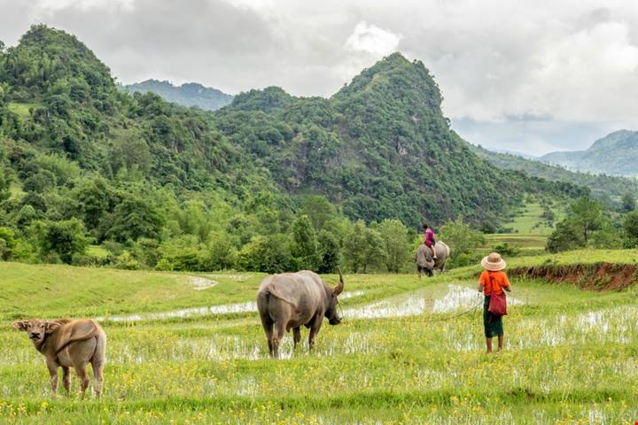 Cosa vedere in Birmania: i 5 luoghi che ti faranno innamorare del Myanmar