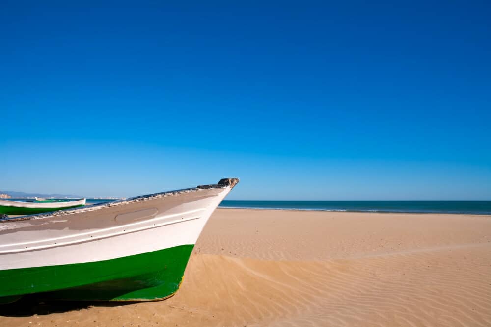 Patacona