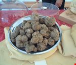 1280px-Truffles_white_Croatia 1280px-Truffles_white_Croatia