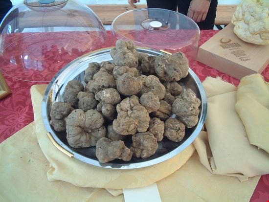 XXVIII Fiera del tartufo di San Pietro Avellana San Pietro Avellana