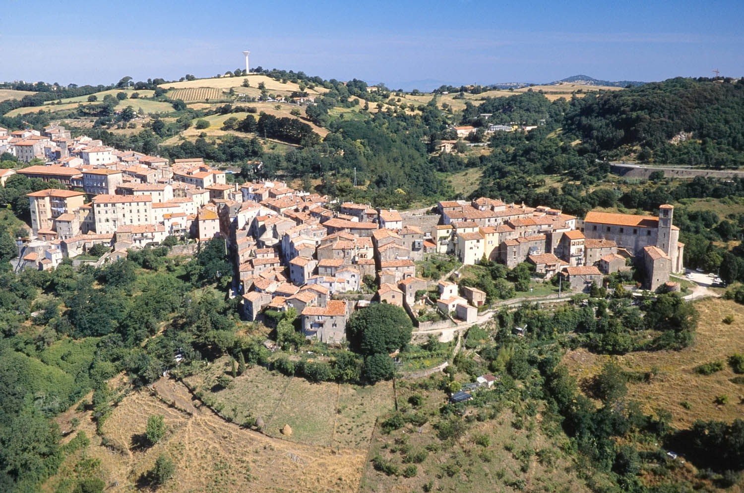 scansano1.jpg
