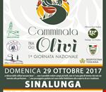 CamminataLocandina-29sett.jpg CamminataLocandina-29sett.jpg