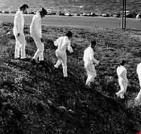 arcade_fire arcade_fire