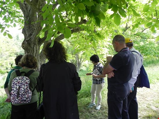 DOMENICHE CONTADINE - LABORATORIO SULLE ERBE SPONTANEE Forano