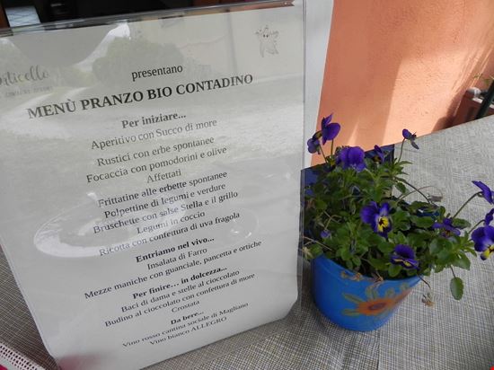 DOMENICHE CONTADINE - LABORATORIO SULLE ERBE SPONTANEE Forano