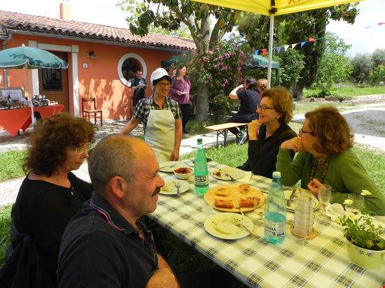 DOMENICHE CONTADINE - LABORATORIO SULLE ERBE SPONTANEE Forano