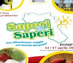 sapori_e_saperi sapori_e_saperi