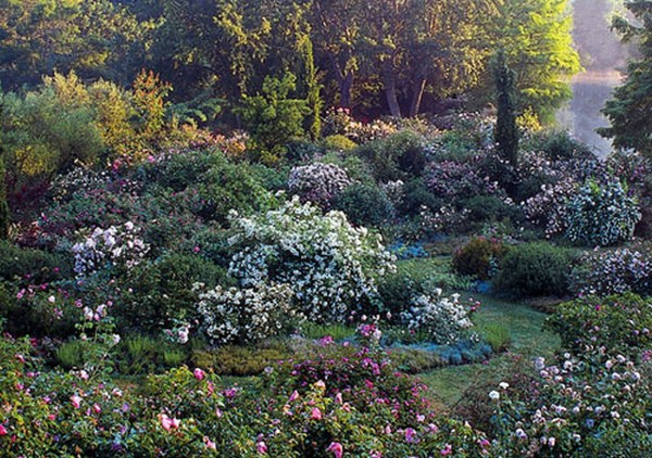 primavera_alla_landriana