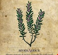 aromantica_2011 aromantica_2011