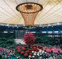 euroflora euroflora