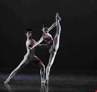 iii_gala_internazionale_della_danza iii_gala_internazionale_della_danza