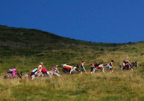 trekking_film_festival