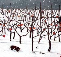 nevicata_nel_vigneto nevicata_nel_vigneto