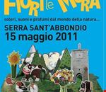 fiori_fra_le_mura_2011 fiori_fra_le_mura_2011