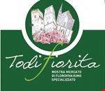 todifiorita todifiorita