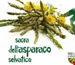sagra_dell_asparago sagra_dell_asparago