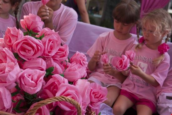 Notte Rosa 2011 Bellaria Igea Marina