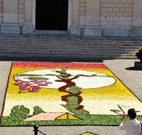 piazza_duomo_infiorata_2010 piazza_duomo_infiorata_2010