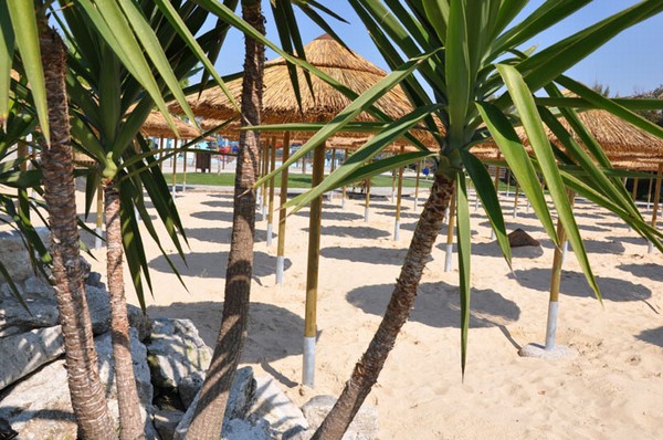 zoomarine_beach