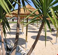 zoomarine_beach zoomarine_beach