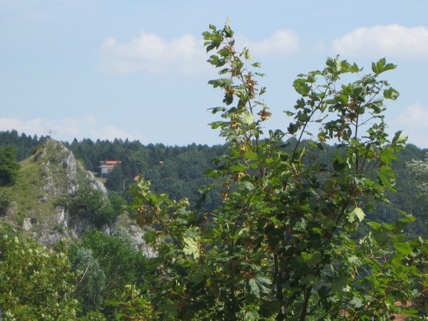 il_magico_verde_di_villagrande_di_montecopiolo