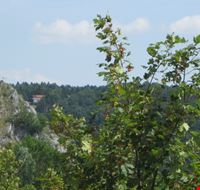 il_magico_verde_di_villagrande_di_montecopiolo il_magico_verde_di_villagrande_di_montecopiolo