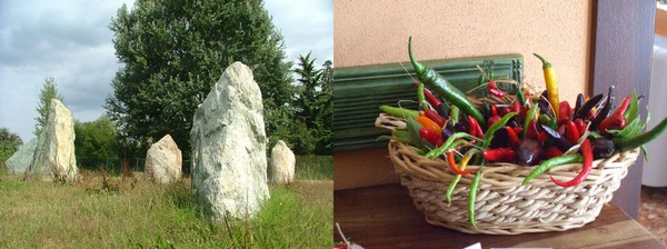 i_menhir_di_cavaglia_e_la_mostra_dei_peperoncini