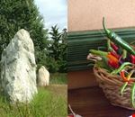 i_menhir_di_cavaglia_e_la_mostra_dei_peperoncini i_menhir_di_cavaglia_e_la_mostra_dei_peperoncini