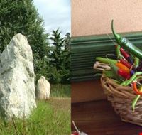 i_menhir_di_cavaglia_e_la_mostra_dei_peperoncini i_menhir_di_cavaglia_e_la_mostra_dei_peperoncini