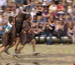 palio_della_botte palio_della_botte