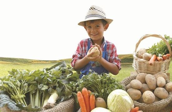 40° Mostra Mercato della Val di Gresta Ronzo-Chienis