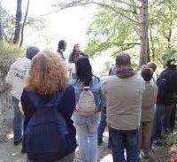 spiegazioni_nel_bosco spiegazioni_nel_bosco