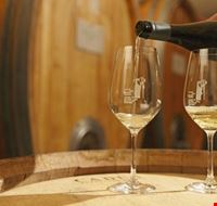 merano_winefestival merano_winefestival