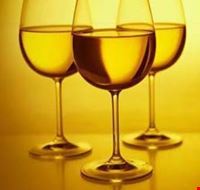 moscato_sotto_le_stelle moscato_sotto_le_stelle