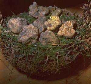 mostra_del_tartufo_e_dei_prodotti_del_bosco
