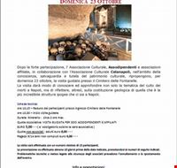 presentazione presentazione