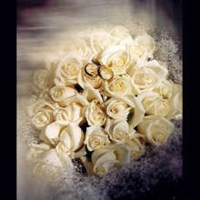 bologna_si_sposa