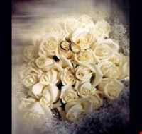 bologna_si_sposa bologna_si_sposa