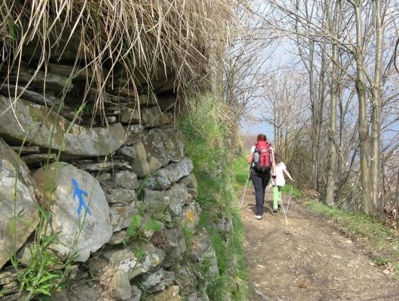 nordic_walking