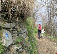 nordic_walking nordic_walking