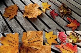 pranayama_nei_boschi_d_autunno_leef_peeping_e_haiku